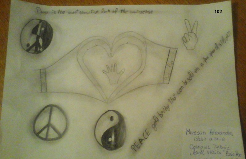 102_Alexandru MURESAN_Col A Vlaicu.jpg